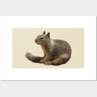 Squirrel, wildlife, Squirrely Cuteness Posters and Art